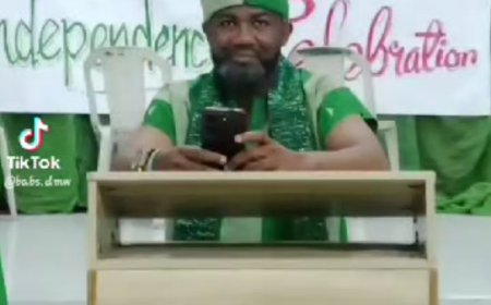 The Nigerian Dream by Shosanya Babatunde Oluwaseyi.