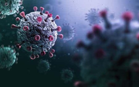 Unmasking The Power of Yoruba Folksong: A Philosophical to Combacting Pandemic