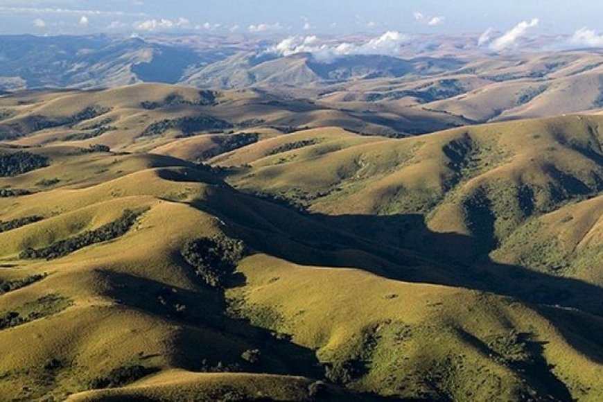 Ancient Rock Art: Nyika Plateau