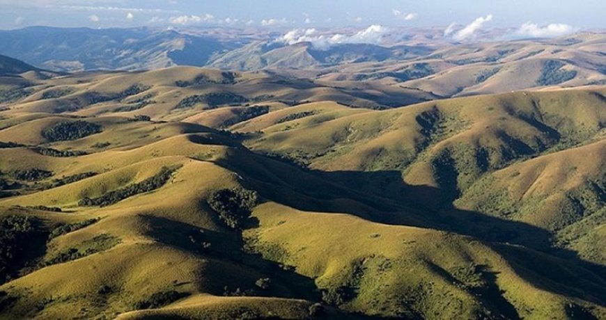 Ancient Rock Art: Nyika Plateau