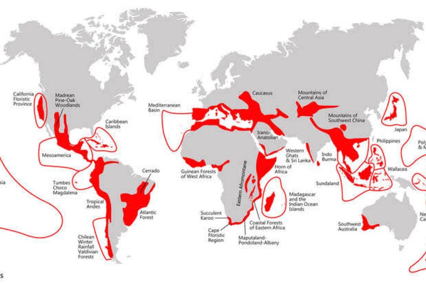 Biodiversity Hotspot