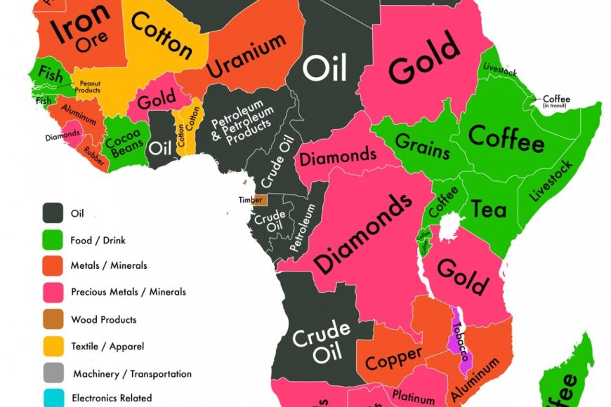 Oil-Rich Economy