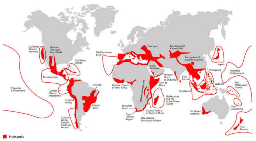 Biodiversity Hotspot