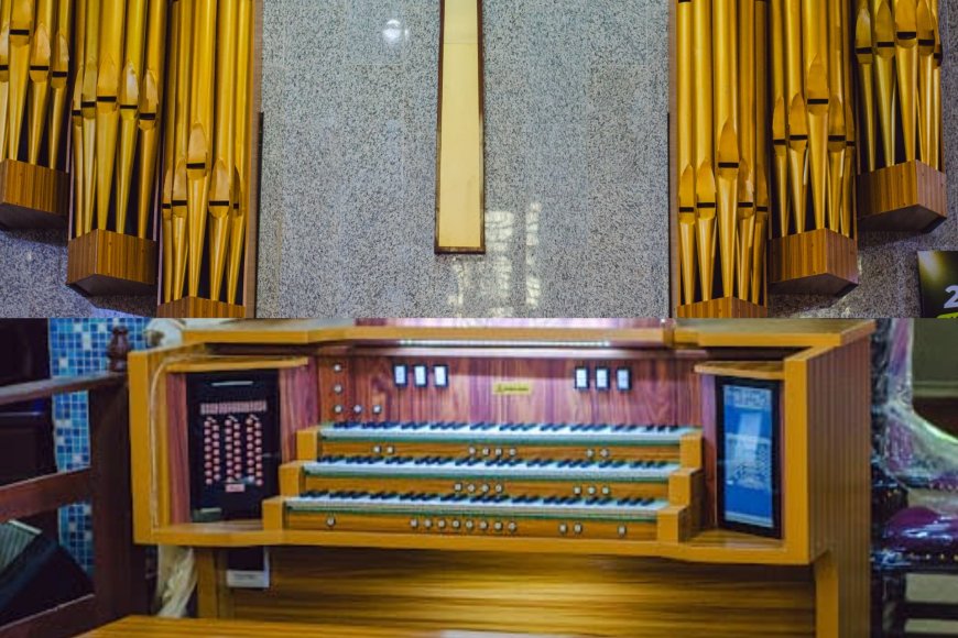 Specifications of the Babijoh Organ - T380: